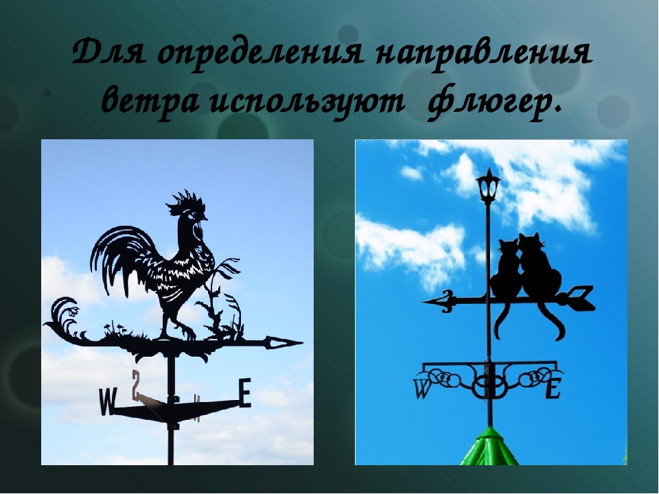 Флюгер слова. Флюгер направление ветра. Направления для флюгера. Флюгер география. Флюгер в детском саду.