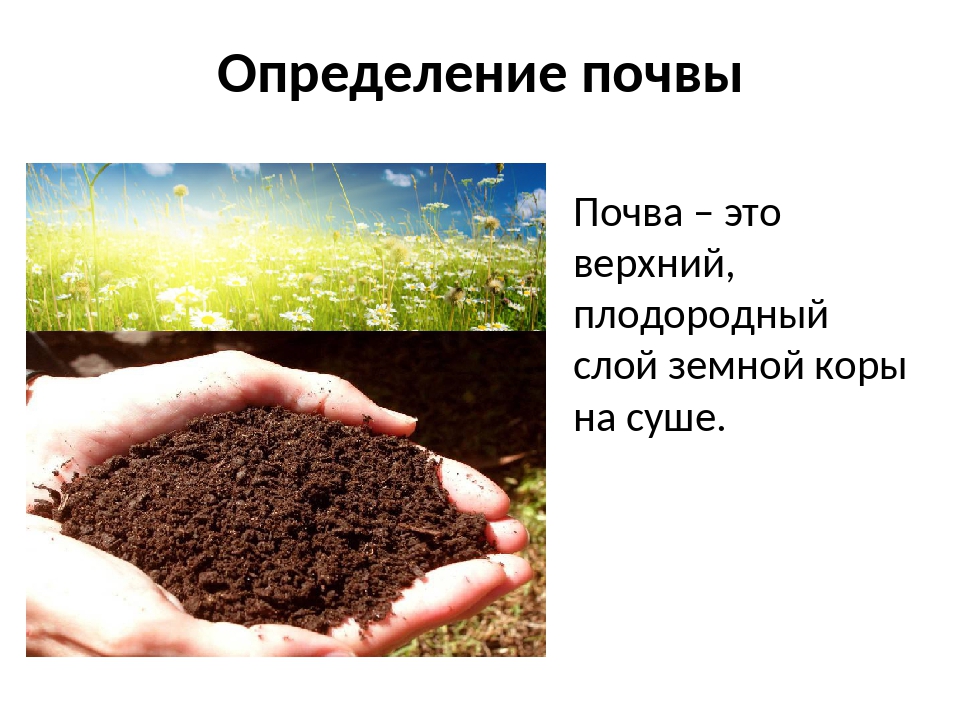 Почва это какое вещество. Почва. Почва определение. Почва это верхний. Плодородный слой почвы.