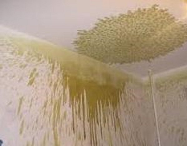 Жидкие обои пятна. Подтеки на потолке. Желтые подтеки на потолке. Жидкие обои на потолок. Желтые пятна в ванной на потолке.